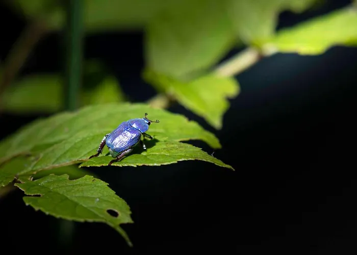 Resort Domaine Du Roc Nantais Nant